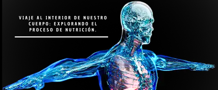 VIAJE AL INTERIOR DE NUESTRO CUERPO: EXPLORANDO EL PROCESO DE NUTRICIÓN 