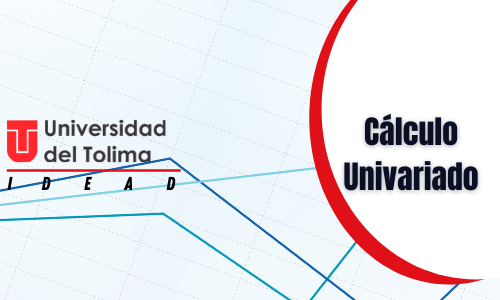 CALCULO UNIVARIADO - Grupo 1