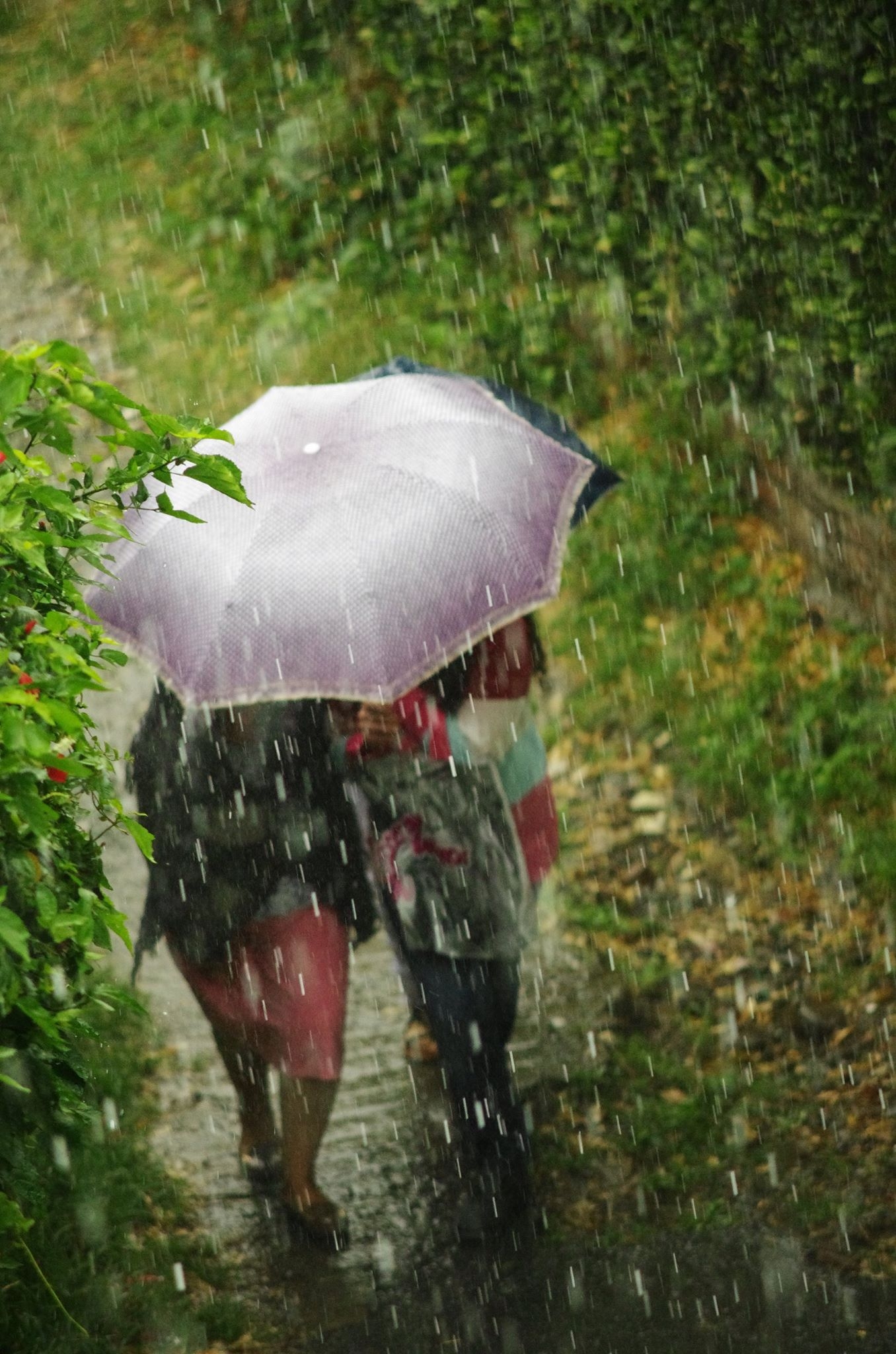 FILOSOFIA DE LA EDUCACIÓN - GRUPO 2