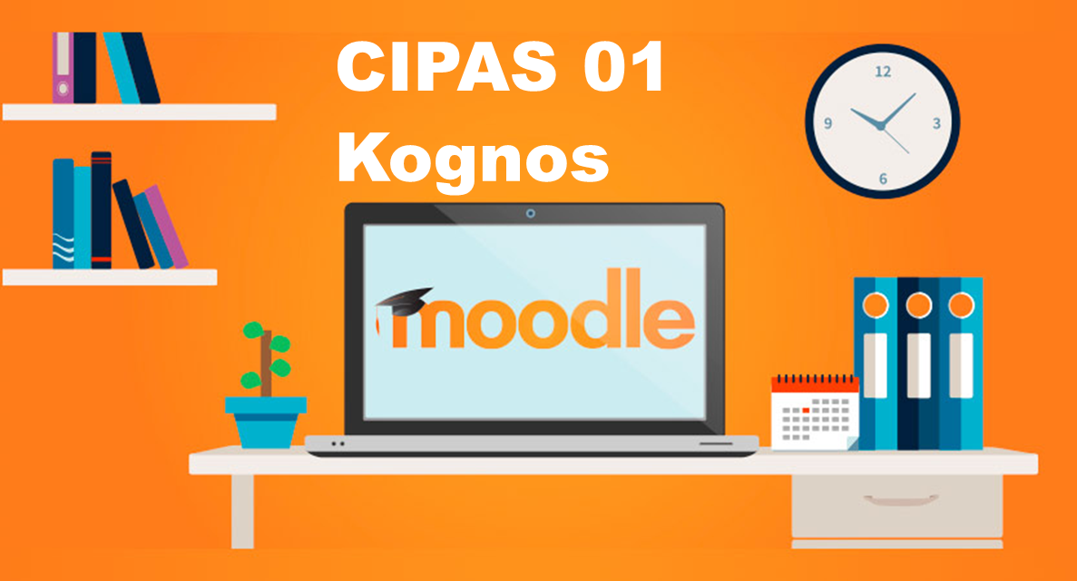 CIPAS 1 - Kognos