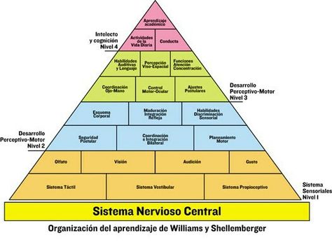 Dominio Sensorial Perceptivo en la Exploracion del Medio