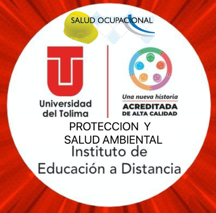 PROTECCION Y SALUD AMBIENTAL - Grupo 2