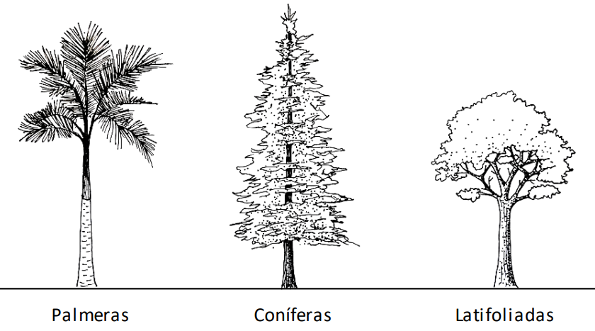 DASOMETRIA - GRUPO 1