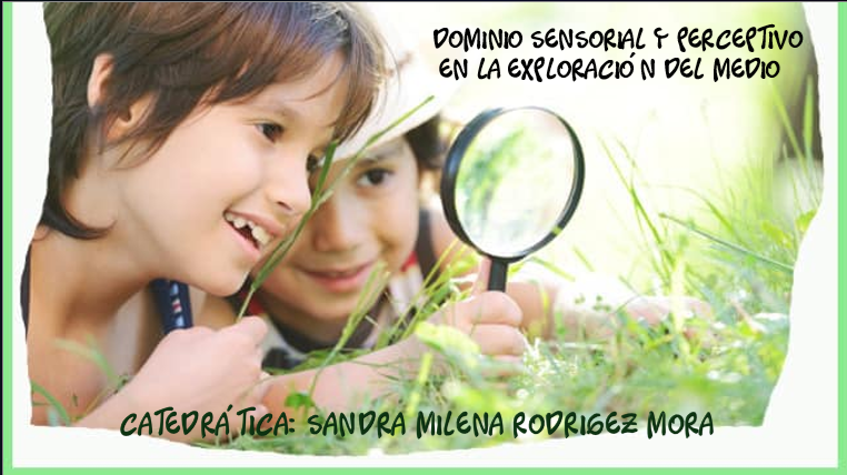 OPTATIVA EXPLORACIÓN EN EL MEDIO: DOMINIO SENSORIAL Y PERCEPTIVO EN LA EXPLORACIÓN DEL MEDIO - GRUPO 2