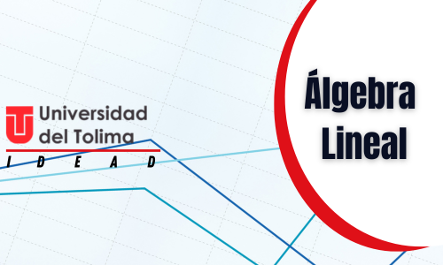 ALGEBRA LINEAL - GRUPO 1