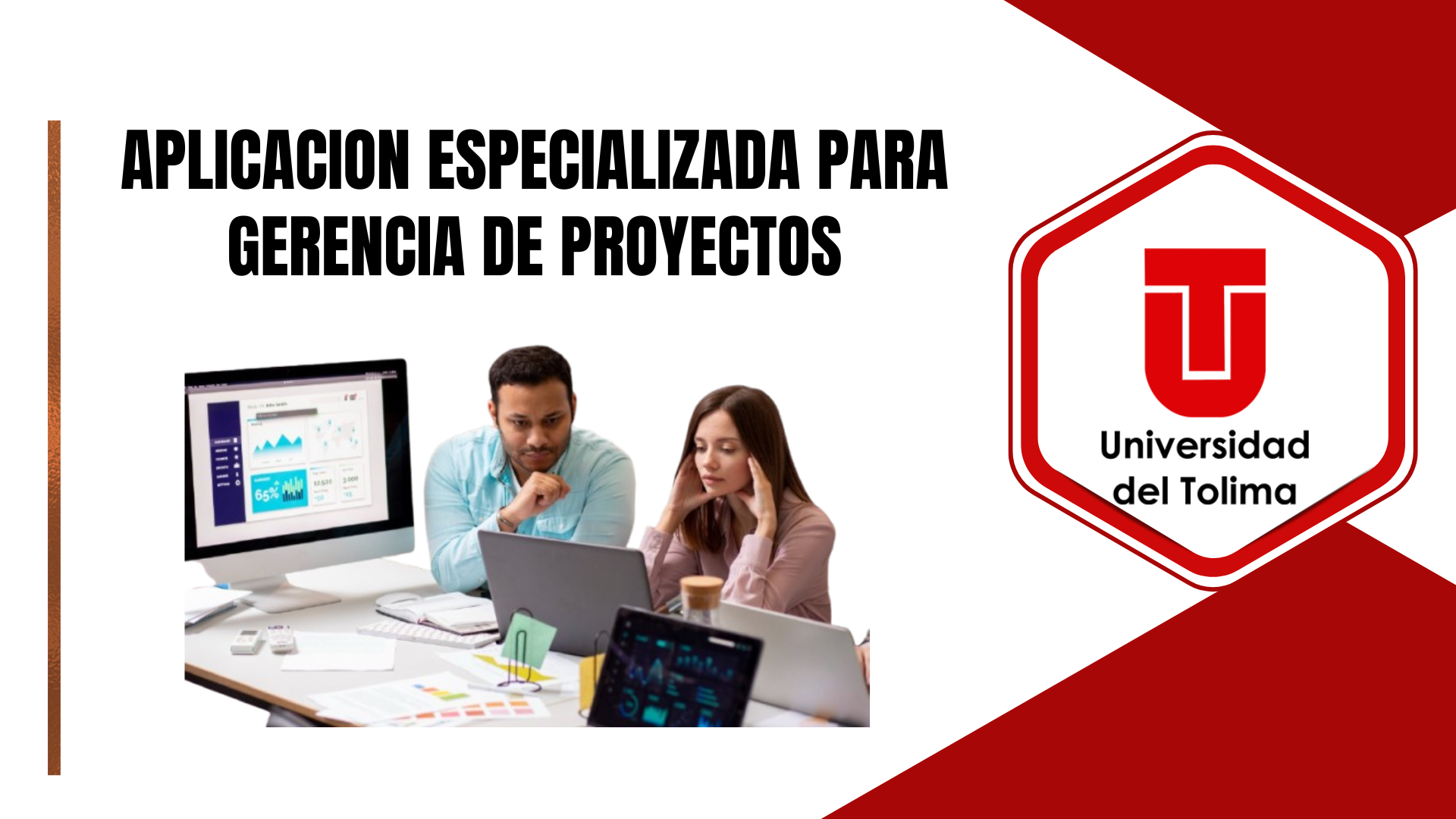 APLICACIÓN ESPECIALIZADA PARA GERENCIA DE PROYECTOS - Grupo 2