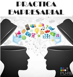 PRACTICA EMPRESARIAL - Grupo 4