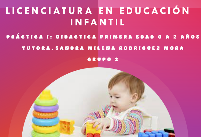  PRÁCTICA I: DIDÁCTICA PRIMERA EDAD (0 A 12 MESES) - Grupo 2